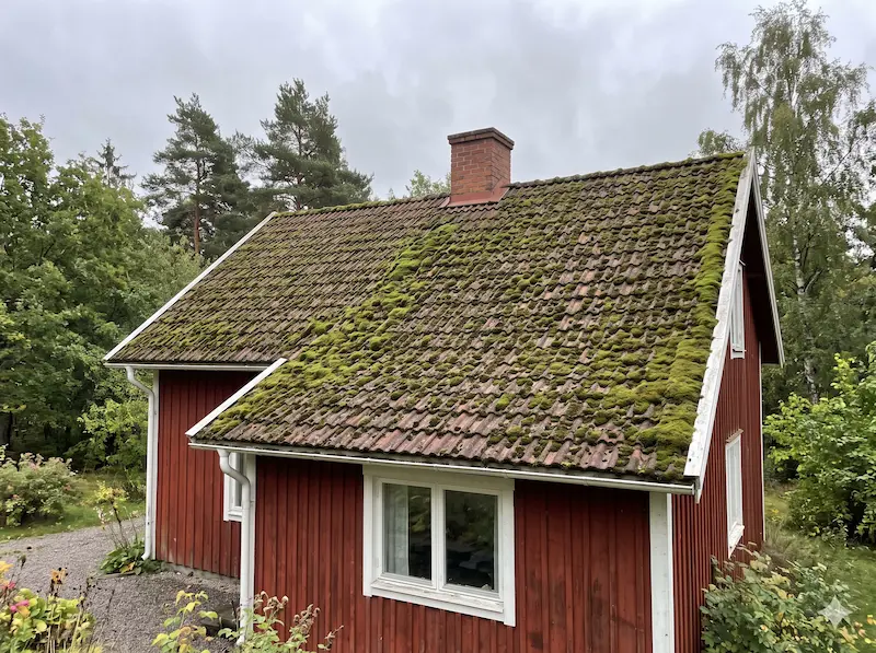 Anders tak – mossa på taket
